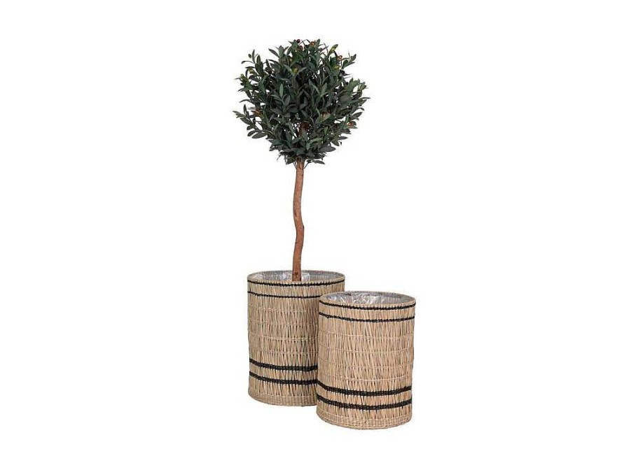 Vente-unique Decoratieobject Voor Binnen | Vinh Planten Schuilplaatsen Set Van 2 Stuks. Buitenshuis Naturel.