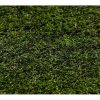 RugsX Kunstgras | Kunstgras Forestland Select Maat 133X550 Cm