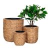 Vente-unique Decoratieobject Voor Binnen | Hanoi Planten Schuilplaatsen Set Van 3 Stuks. Buitenshuis Naturel.