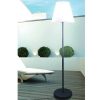 SOLARGEO Tuinlamp | Buitenlamp Op Voet Met Led-Verlichting Wiley - Metaal - H150 Cm - Veranderende Kleuren