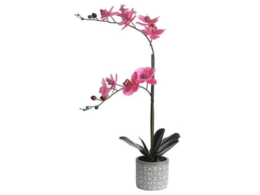 OZAIA Kunstplant | Kunstorchidee Met Pot Van Cement - H55 X B30 Cm - Roze - Riosane